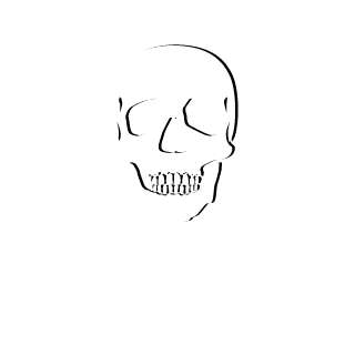 TrolLZz GaLaXyy's emblem