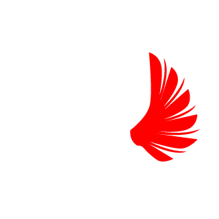 ONPLAY2's emblem