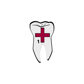 _samuraiFlaki's emblem