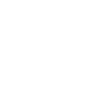 SteaIth_Assasin's emblem