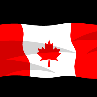 A Square Narwal's emblem