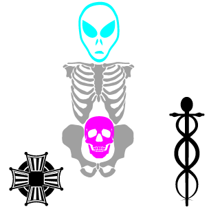 N1r3d's emblem