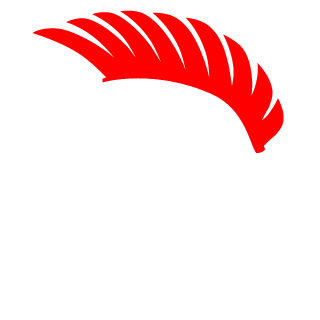 drake100000's emblem