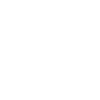 BlitzOfTich's emblem