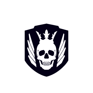 VOID6900XT's emblem