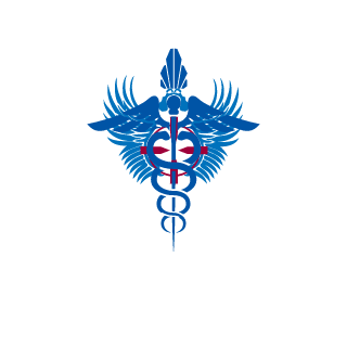 shifter777's emblem