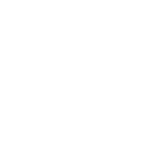 ROBYV's emblem