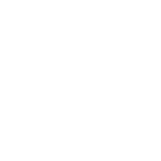510500ff8c49f569's emblem