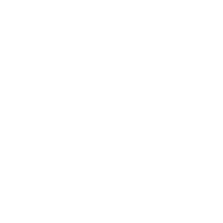 2025-2033's emblem