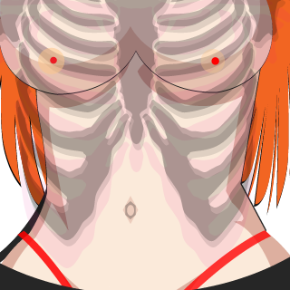AnonymoBR22's emblem