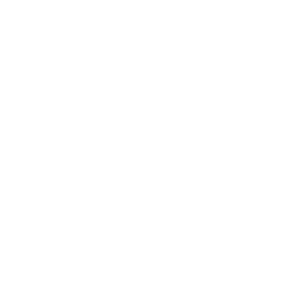 negoboris's emblem
