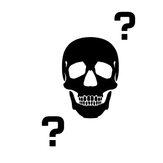 v1zRaven's emblem