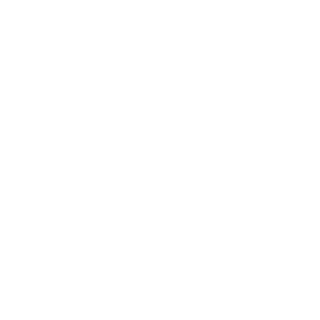 MrNirtas's emblem