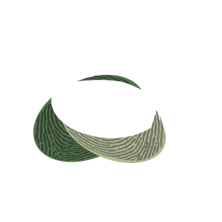 Jalolapeno's emblem