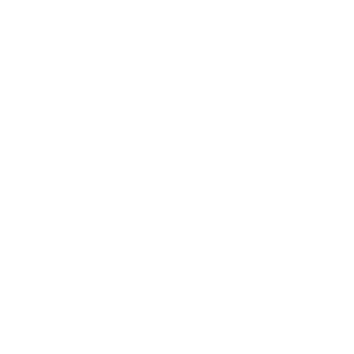 Levinen22's emblem