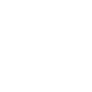 4matica's emblem