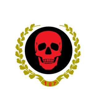 Sh0ck_N_Awe's emblem