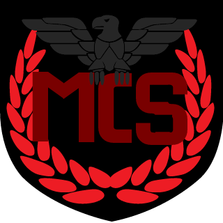 C4rtman_DEU's emblem