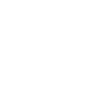 N_79's emblem