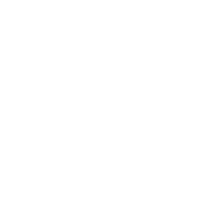 baysangur83's emblem