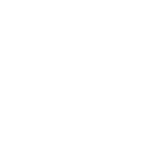 SeuLaranjeira's emblem