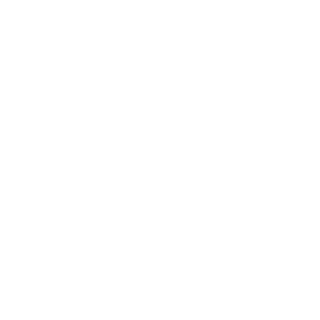 CriticalRequiem's emblem