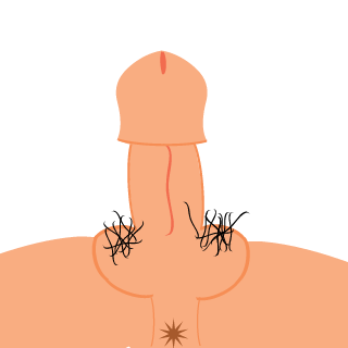 Jangletron's emblem