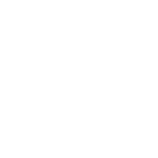 DIVERSANT_82's emblem