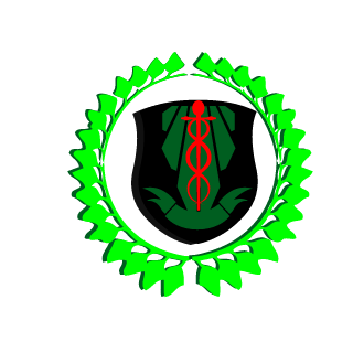 baconNDeggs's emblem
