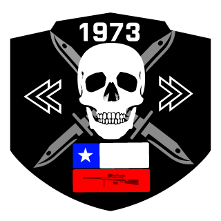 NelzonHS's emblem