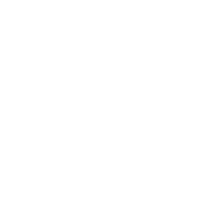 der_BROWNY's emblem
