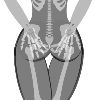 HckrySmkdOp's emblem