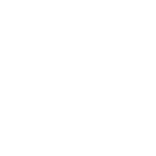 z0NdeR-vsk's emblem