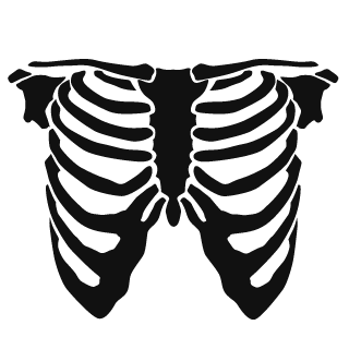 Rabz82's emblem