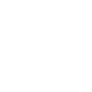 DarkIkarus80's emblem