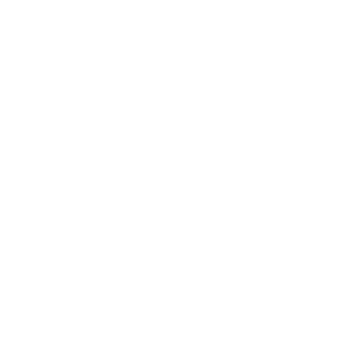 ZhrChaos's emblem