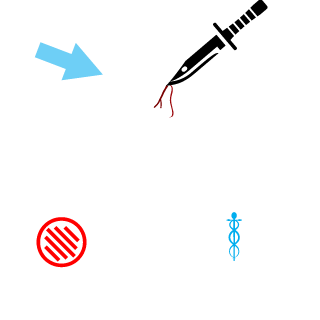 floridas's emblem