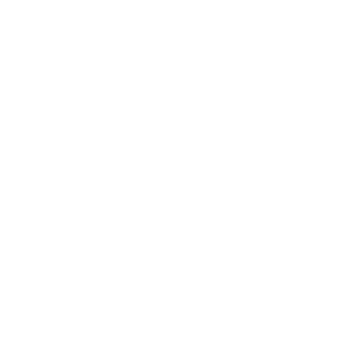 1stShvabrius's emblem