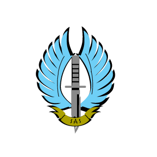 SaltyyIce's emblem