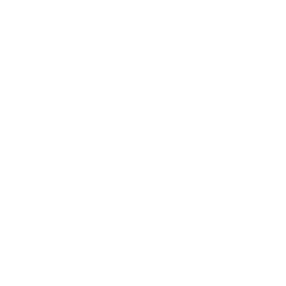 -NarittZeus-'s emblem