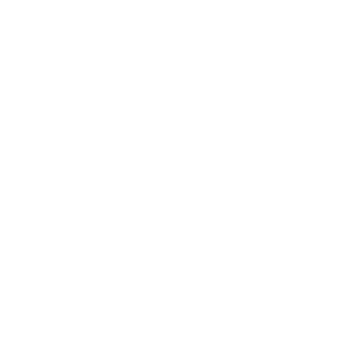SEALS95x's emblem
