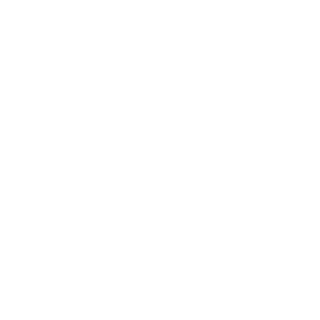 qinlit's emblem