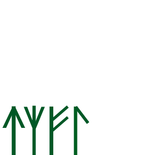 nicexa's emblem