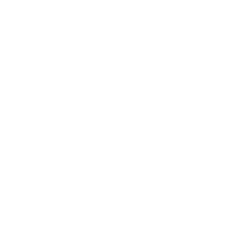 peenskin_pillow's emblem