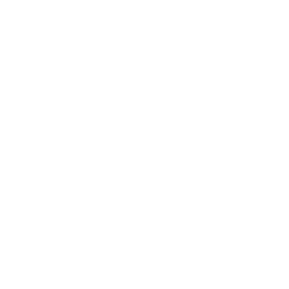 bu1l3t sp0ng3's emblem