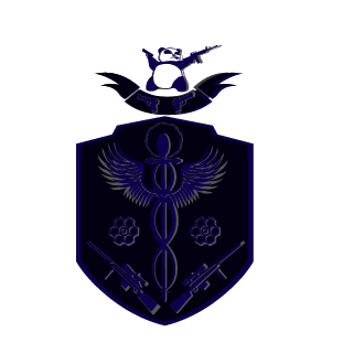 FoolishDuckX's emblem