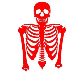 berkaytemizel's emblem