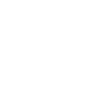 LeandroBMF's emblem