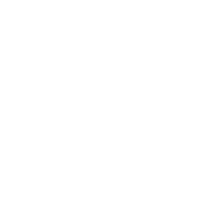 NashDom1013's emblem