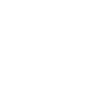stuntmaniak's emblem